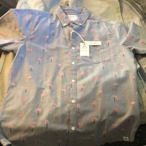 Short sleeve blue collar shirt with flamingo prints